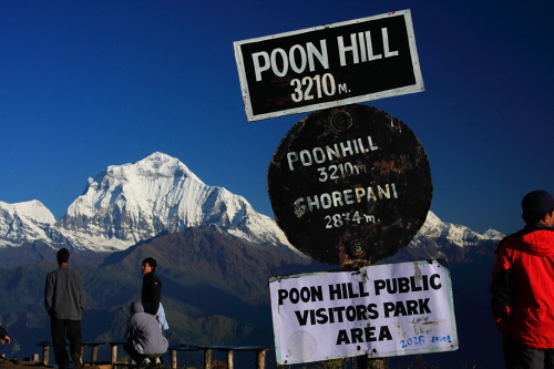 Poon Hill mit Dhaulagiri