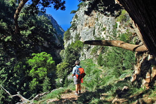 In der Phigou-Schlucht